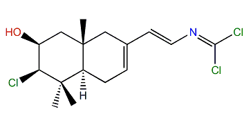 Reticulidin B